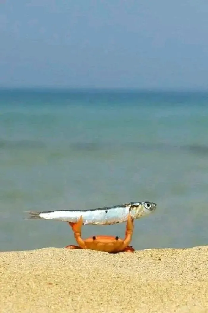 "All Things Strange And Unusual”: 50 Pics From This Weird Group