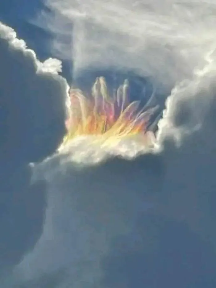 Una amiga mía de Cocoa Beach, Florida, tomó estas fotos hace un rato desde la puerta trasera de su casa. ¿No es genial? Lo llaman arcoíris de fuego