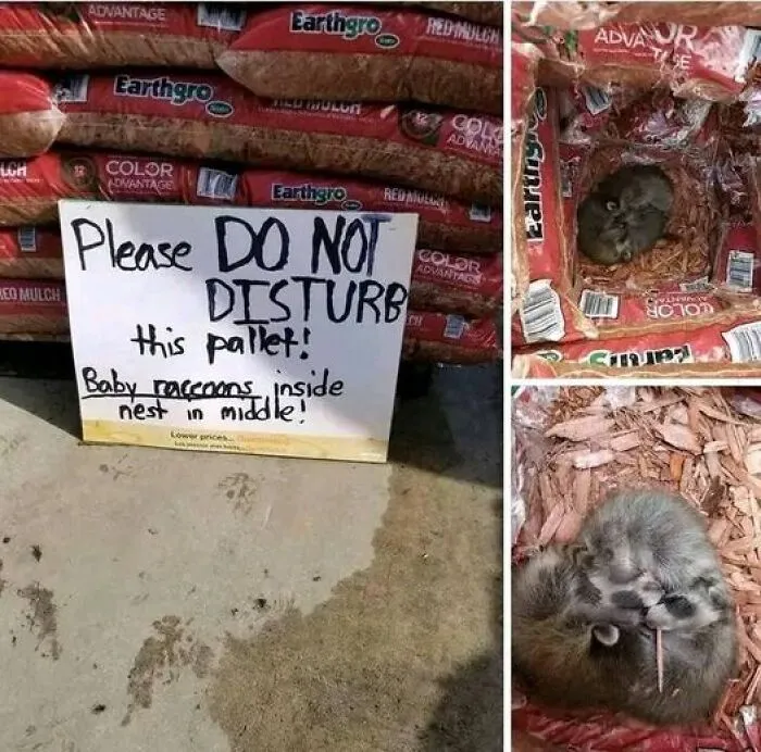 Faith In Humanity Restored 😊