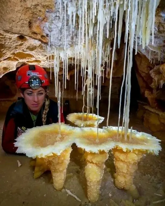 Hermosas "flores" de aragonito de una cueva en la isla de Mallorca, España, por Alismontain