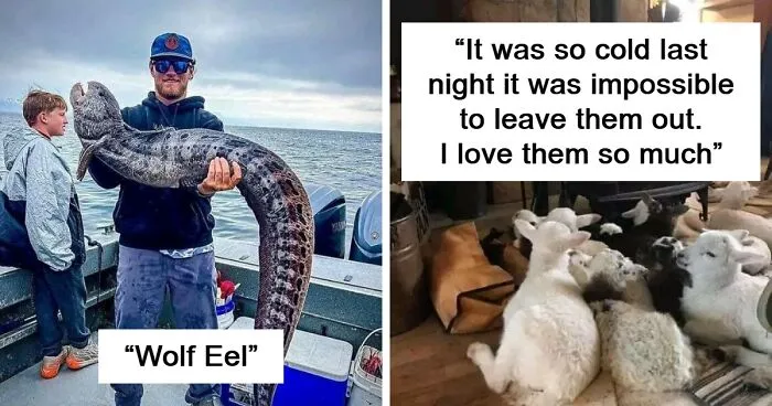 "All Things Strange And Unusual”: 50 Pics From This Weird Group
