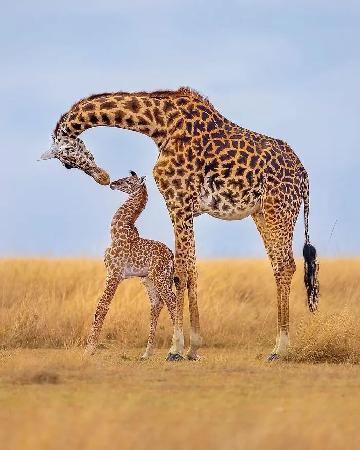 Here Are 40 Of The Most Interesting Images Selected By This Instagram Page (New Pics)