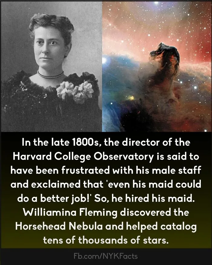 ‘Now You Know’: 50 Random Facts That Are Too Interesting To Scroll Past