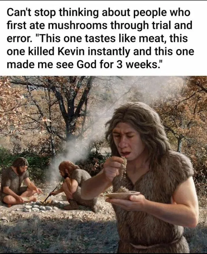 50 Funny Memes For Those Who Love A Good Giggle