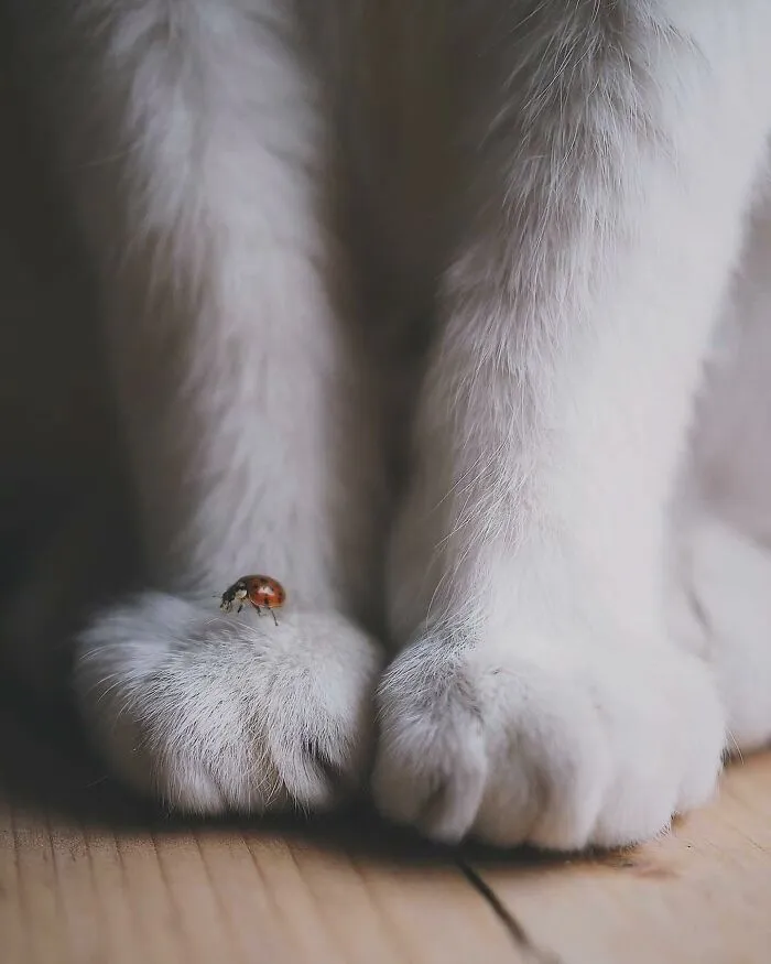 Here Are 40 Of The Most Interesting Images Selected By This Instagram Page (New Pics)