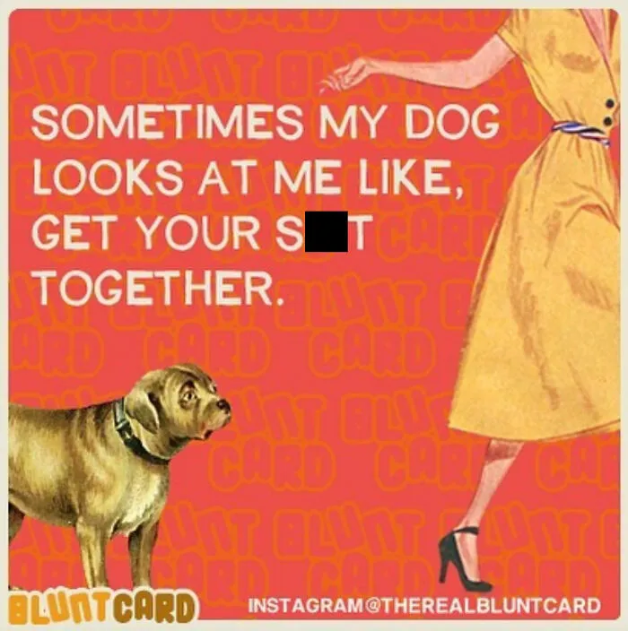 A bluntcard with dark humor depicting a dog looking at a woman in a yellow dress, get your sh*t together.