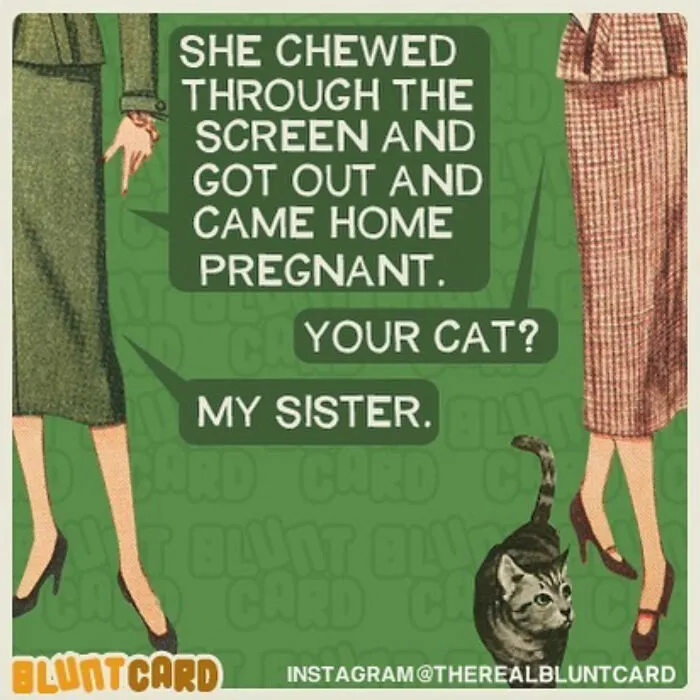 45 Hilarious And Relatable 'Bluntcards' Featuring Dark Humor With A Pinch Of Sarcasm