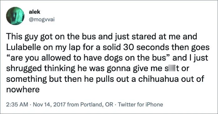 50 Of The Most Hilarious, Cute And Wholesome Posts On X About Dogs