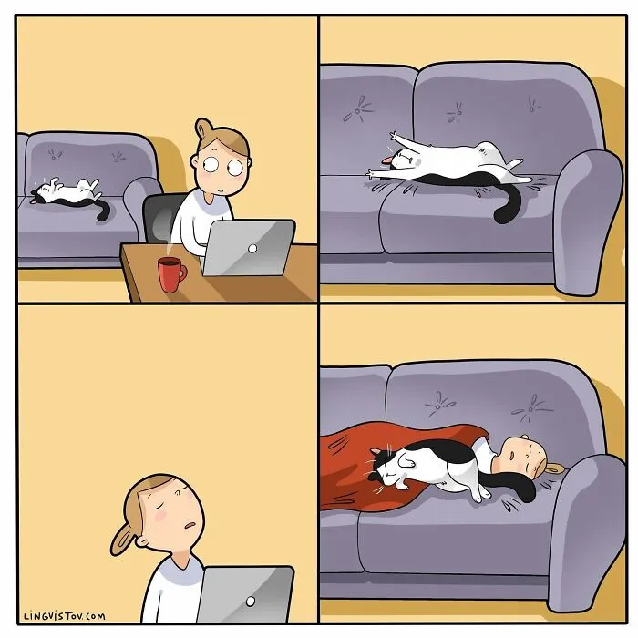 The Daily Realities Of Living With A Cat: 30 New Comics By Lingvistov