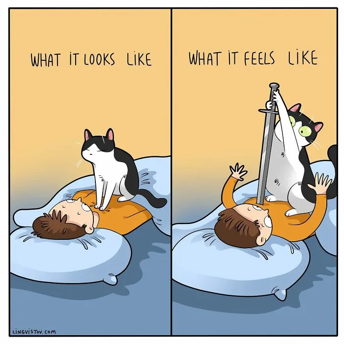 The Daily Realities Of Living With A Cat: 30 New Comics By Lingvistov