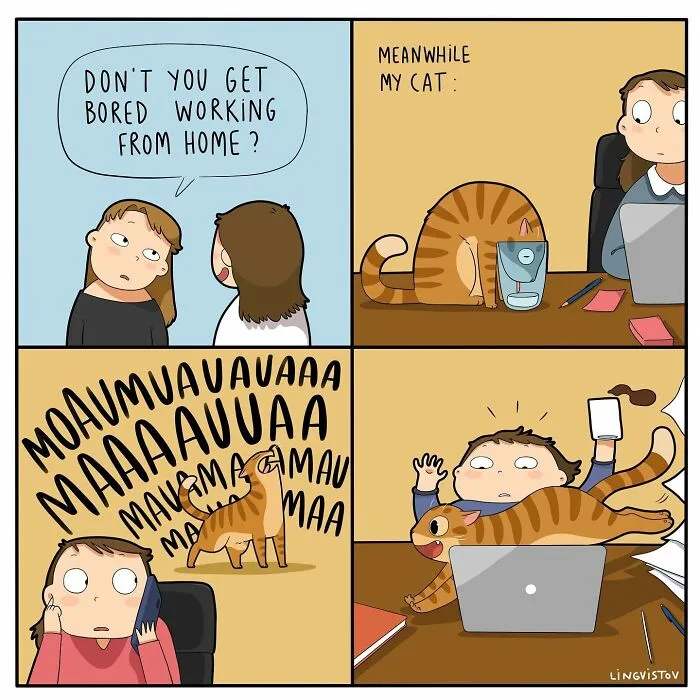 The Daily Realities Of Living With A Cat: 30 New Comics By Lingvistov