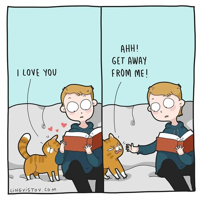 The Daily Realities Of Living With A Cat: 30 New Comics By Lingvistov