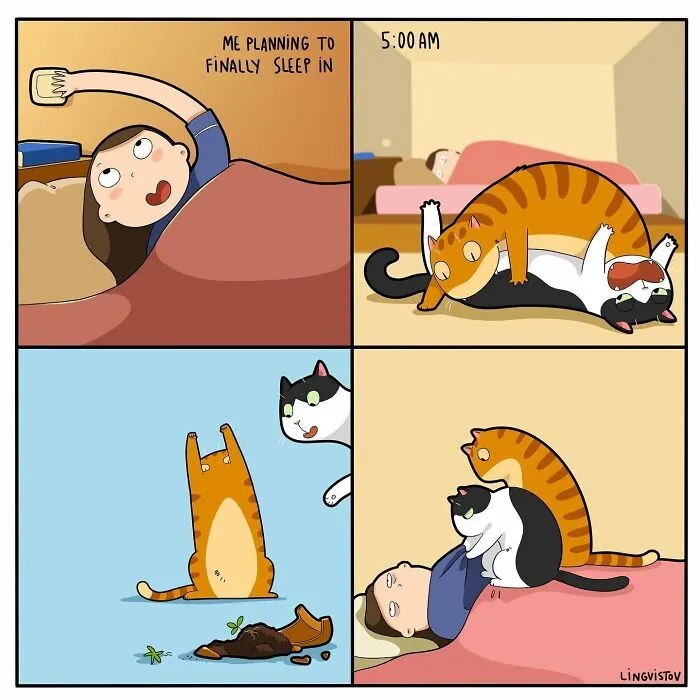 The Daily Realities Of Living With A Cat: 30 New Comics By Lingvistov