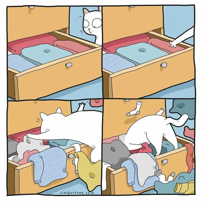 The Daily Realities Of Living With A Cat: 30 New Comics By Lingvistov