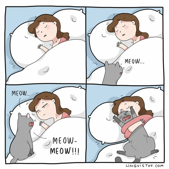 The Daily Realities Of Living With A Cat: 30 New Comics By Lingvistov