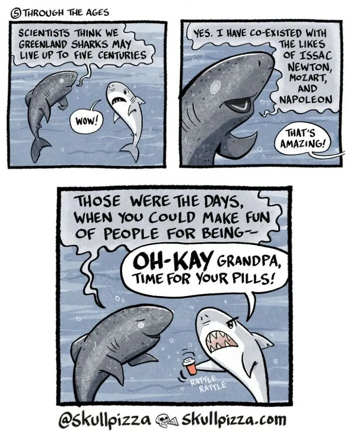 This Artist Turns Spooky Inspirations Into 27 Funny Comics (New Pics)