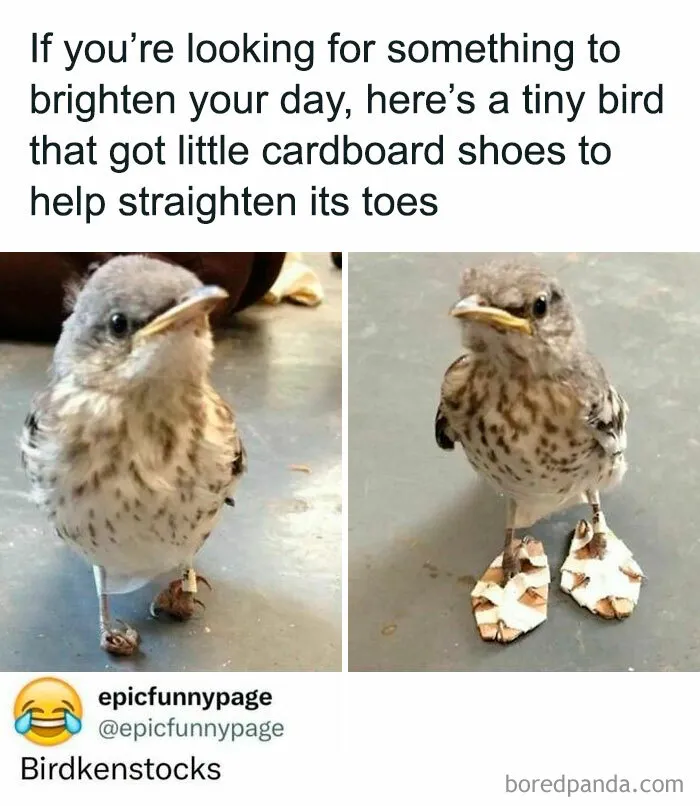 50 Entertaining Posts And Memes To Help You Fight Boredom (New Pics)