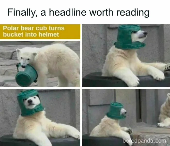 50 Entertaining Posts And Memes To Help You Fight Boredom (New Pics)