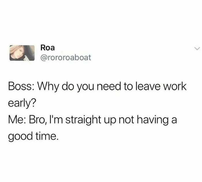 50 Funny And Random Memes To Brighten Your Day