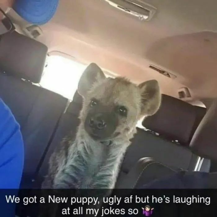 50 Funny And Random Memes To Brighten Your Day