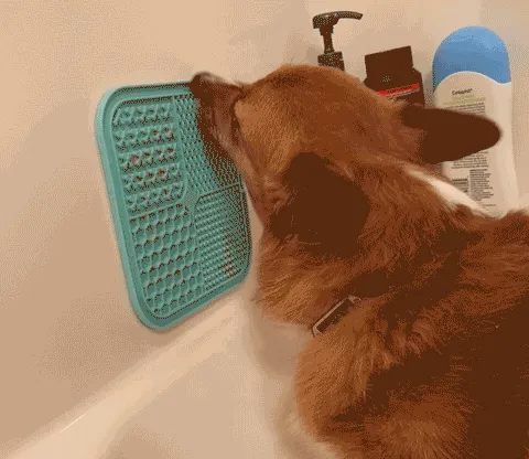 Turn Treat Time Into A Tasty Challenge With These <a Style="Display:inline;" Href=" Https://Www.amazon.com/Lukito-Licking-Suction-Boredom-Grooming/Dp/B09fptdbrz?ie=utf8&th=1&linkcode=ll1&tag=bpkiwi-20&linkid=c9e68f0be699bb1e53233029534af17e&language=en_us&ref_=as_li_ss_tl" Target="_blank">     <span Style="Font: Inherit; Color: #d74b1f;"> Lick Mats For Dogs & Cats</Span>