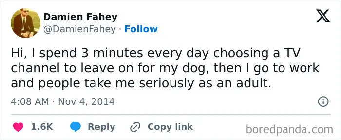 50 Of The Most Hilarious, Cute And Wholesome Posts On X About Dogs