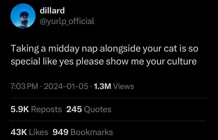 Tweet about napping with cats, capturing feline attitude humorously, has 1.3M views, 5.9K reposts, and 43K likes.