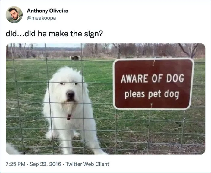 50 Of The Most Hilarious, Cute And Wholesome Posts On X About Dogs