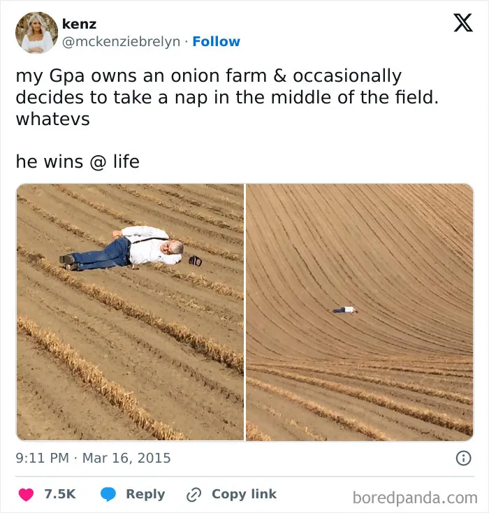 50 Of The Funniest Fatherhood Memes Shared By This Online Community Of Dads