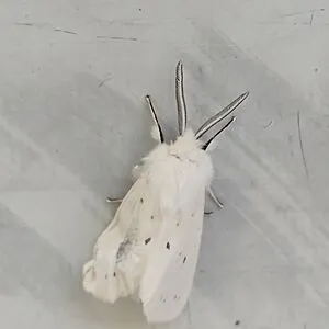 *~M∆¥~*