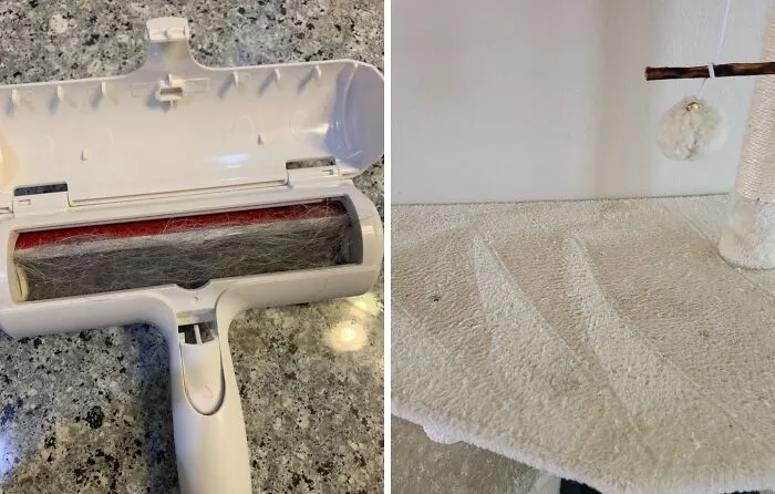 The <a Style="Display:inline;" Href="Https://Www.amazon.com/Chom-Roller-Hair-Remover-Reusable/Dp/B0c2fmzmhp?ie=utf8&th=1&linkcode=ll1&tag=bpgoat-20&linkid=cdb85d3c70cd1b8076d494e3cd727ccb&language=en_us&ref_=as_li_ss_tl" Target="_blank"><span Style="Font: Inherit; Color: #d74b1f;"> Chom Chom Roller</Span> Is The Fur-Busting Champion That Will Have Your Furniture And Clothes Looking Like They've Never Even Met Your Pet