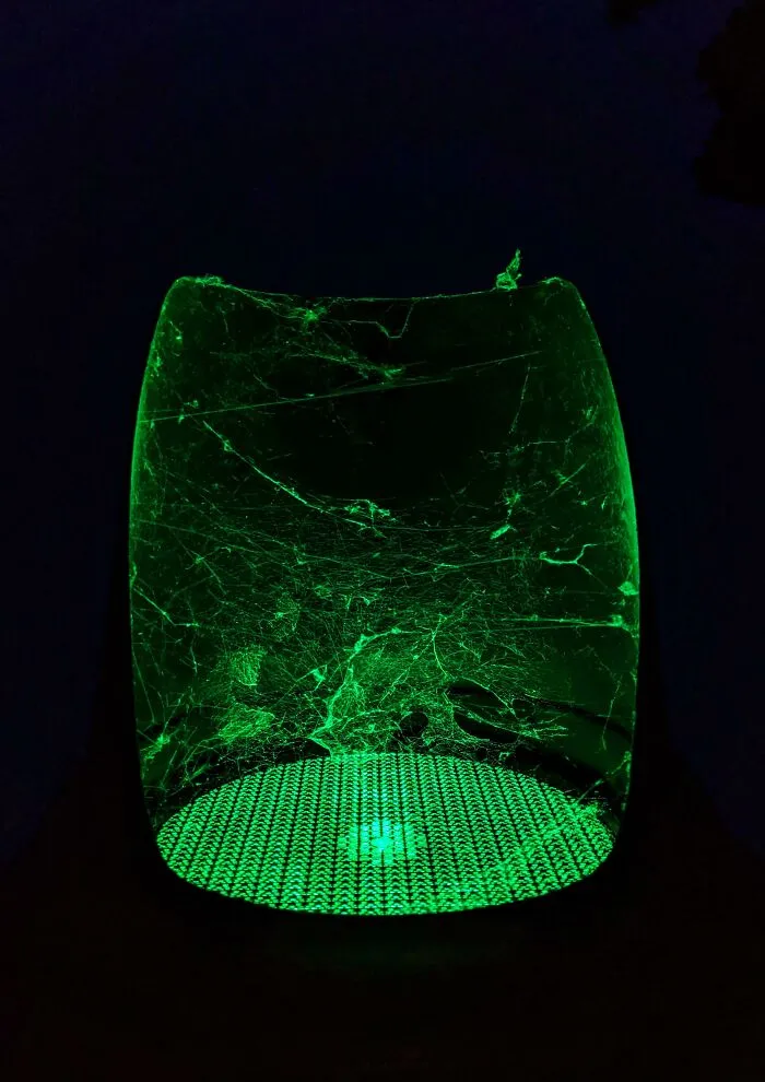 A Traffic Light From Below