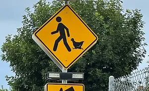 50 Clever Signs Spotted In Public That Deserved To Be Photographed (New Pics)