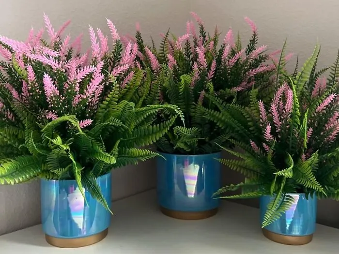 Give Your Plants The Mermaid Treatment With These <a Style="Display:inline;" Href="Https://Www.amazon.com/Gepege-Succulent-Planter-Drainage-Ceramic/Dp/B0c36wd5cq?ie=utf8&th=1&linkcode=ll1&tag=bpgoat-20&linkid=cc75732d82b248c208d08d1fb0d7d3b4&language=en_us&ref_=as_li_ss_tl" Target="_blank"><span Style="Font:inherit;color:#d74b1f;"> Iridescent Ceramic Pots</Span> 