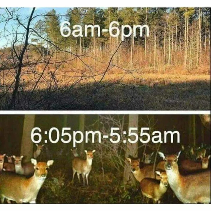 20 Memes que resultarán familiares para quienes disfrutan de las actividades al aire libre