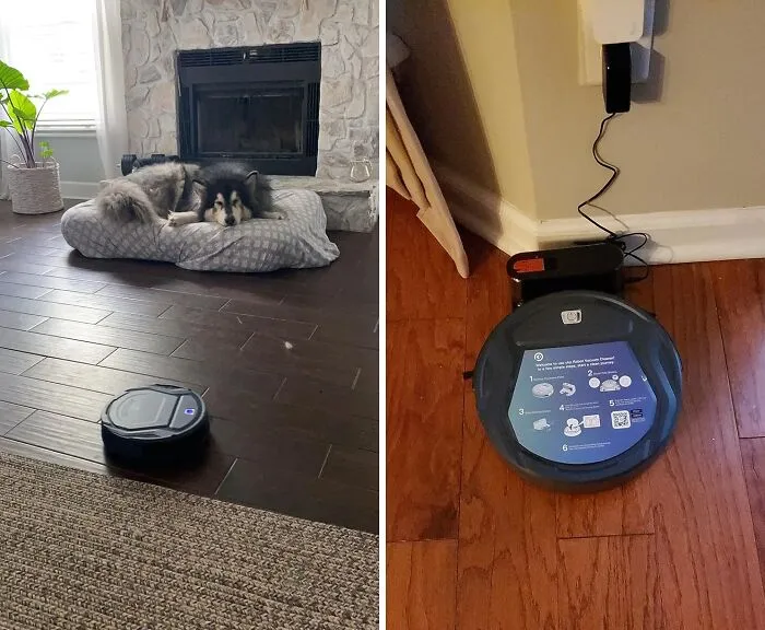 "<a Style="Display:inline;" Href=" Https://Www.amazon.com/Okp-K2-Robot-Vacuum-Cleaner/Dp/B08p2t2nxh?crid=3gfr15rhscyh&dib=eyj2ijoimsj9.odpvcssoquwmrd5carjwiamoxg4rm0kwuccp-Oh5ookqufflkaiq2mve2by7gcuzccjmtlcyj-Qqy7zectrt6ska_horvfhuohno9dc-Xwalzjq-Ftvklrmfjpigguzuf5ltxqycz1zuvp90xgpjd04zkwslqovqqkqjfqlfo7dvcjah2hmjhwd4mo8sf1yrcxiyhbtmjmfhldtj4ybi3t8ii6utepxqcpnrbjkh_se.pvb5angx6ar_q184z_8hfvlysl3xll6imfxm8okrujm&dib_tag=se&keywords=robot+vacuum&qid=1722587821&sprefix=robot+%2caps%2c200&sr=8-5&linkcode=ll1&tag=bpdove-20&linkid=7dc1df9785ef4a22a67e9a6055c91bbb&language=en_us&ref_=as_li_ss_tl" Target="_blank"><span Style="Font:inherit;color:#d74b1f;"> Robot Vacuum Cleaner</Span>. Just Let Him Get On With It, And I Can Spend The Time Doing Something Else. Does A Good Job, Too, Then Hides Himself Under A Sofa. It's On The Alexa, So Can Tell It To Start Or Stop, Or Can Send Him Away When I'm Out Of The House." - Dr_raff