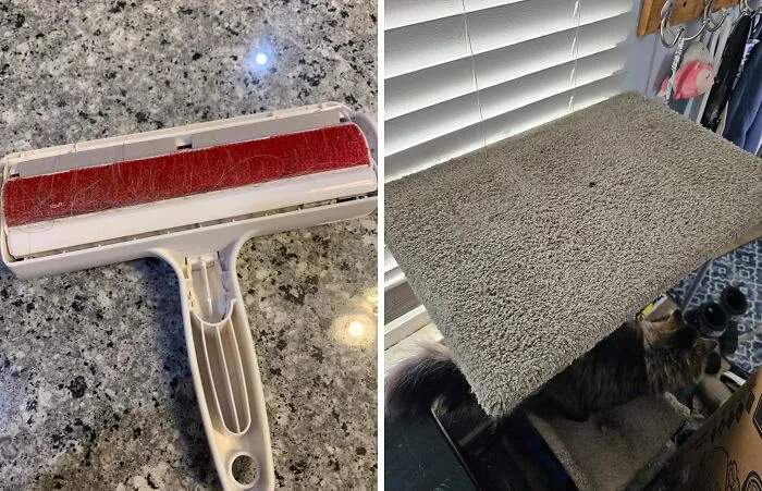 Best In Show For Pet Hair Removal : <a Style="Display:inline;" Href=" Https://Www.amazon.com/Pet-Dog-Cat-Hair-Remover-Couch/Dp/B00bagtnaq?ie=utf8&th=1&linkcode=ll1&tag=bpbear-20&linkid=22d89d3a8142844ac5a948081bdd3216&language=en_us&ref_=as_li_ss_tl" Target="_blank"><span Style="Font: Inherit; Color: #d74b1f;"> Chom Chom Roller</Span>