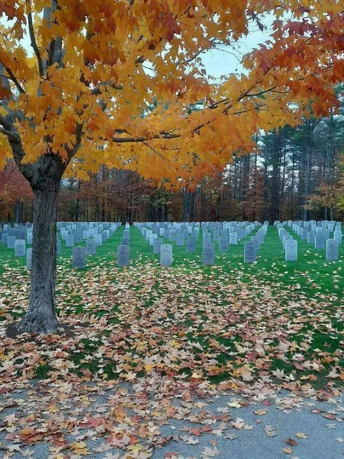 This Is One Picture Of A Cemetery, Not 2 Images Stitched Together