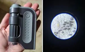 100 Most Wished For Products From Amazon