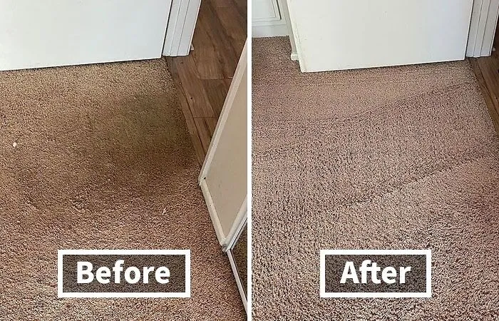 Odor Elimination Gold Medal: <a Style="Display:inline;" Href=" Https://Www.amazon.com/Rocco-Roxie-Supply-Co-Professional/Dp/B00ckfl93k?ie=utf8&th=1&linkcode=ll1&tag=bpbear-20&linkid=cee7657dcac4f4b9f44555cda63814da&language=en_us&ref_=as_li_ss_tl" Target="_blank"><span Style="Font: Inherit; Color: #d74b1f;"> Rocco & Roxie Supply Co. Stain & Odor Eliminator </Span>