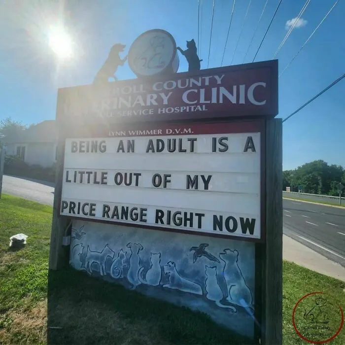 No Fleas, Just Jokes: 40 Signs That Had Tails Wagging (New Pics)