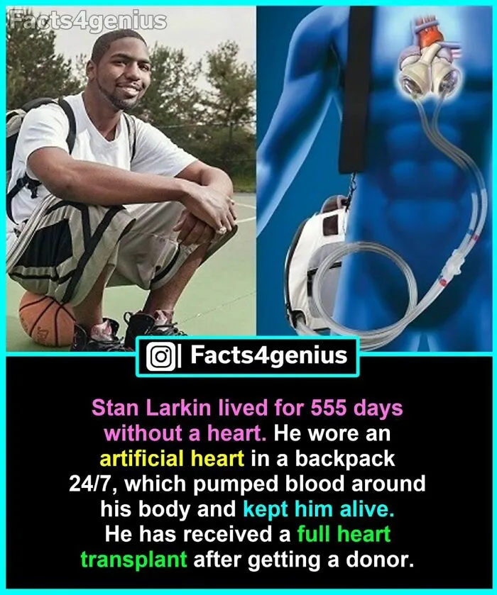 50 Posts From “Facts For Genius” That Might Teach You Something New (New Pics)