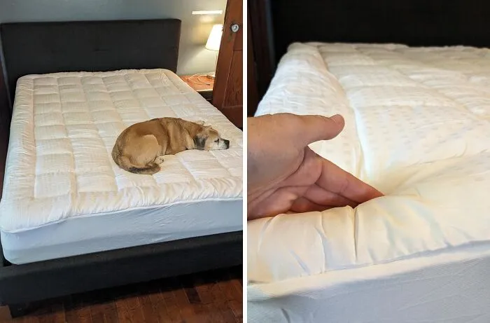 This <a Style="Display:inline;" Href="Https://Www.amazon.com/Easeland-Mattress-Mattress-Stretches-Alternative/Dp/B073zvyfp9?th=1&linkcode=ll1&tag=bpsloth-20&linkid=75f24a896d27682d56e10c060cff7096&language=en_us&ref_=as_li_ss_tl" Target="_blank"><span Style="Font: Inherit; Color: #d74b1f;"> Twin Size Mattress Pad</Span> Is Like A Fluffy Cloud For Your Bed, Adding A Layer Of Cozy Comfort And Cooling Relief For Those Nights When You're Feeling A Little Too Hot To Handle