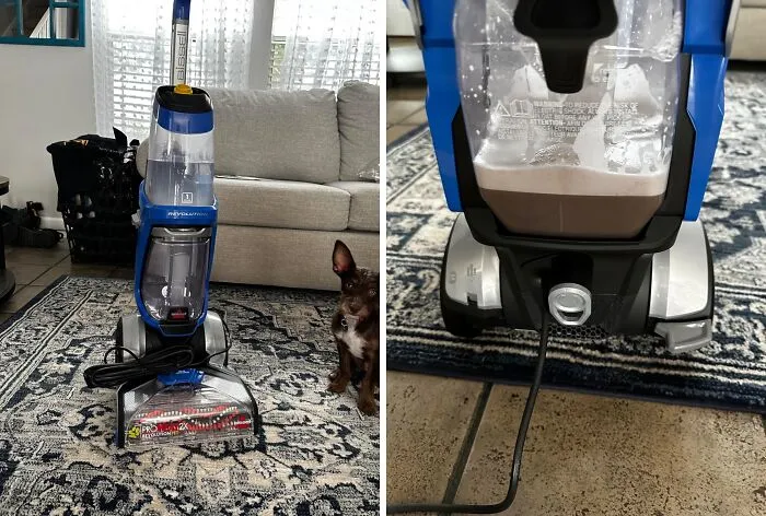 Your Furry Friend's "Accidents" Are No Match For This <a Style="Display:inline;" Href="Https://Www.amazon.com/Bissell-Proheat-Revolution-35799-Upright/Dp/B0b94mmczl?th=1&linkcode=ll1&tag=bpsloth-20&linkid=53f0a8ec960a2c65a2daed10d0e31f8a&language=en_us&ref_=as_li_ss_tl" Target="_blank"><span Style="Font: Inherit; Color: #d74b1f;"> Bissell Proheat 2x Revolution Pet Deluxe</Span> - It's The Cleaning Champion That'll Tackle Those Tough Stains And Odors With Ease