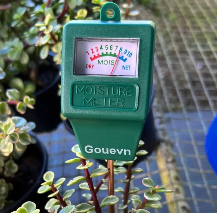 A <a Style="Display:inline;" Href="Https://Www.amazon.com/Gouevn-Moisture-Outdoor-Hygrometer-Battery/Dp/B07rddlcbj?ie=utf8&linkcode=ll1&tag=bptiger-20&linkid=0b4750e71e9d894d4b7061d4d0beb595&language=en_us&ref_=as_li_ss_tl" Target="_blank"><span Style="Font: Inherit; Color: #d74b1f;"> Soil Moisture Meter</Span> Is The Green Thumb's Secret Weapon, Helping You Keep Your Plants Perfectly Hydrated Without The Guesswork