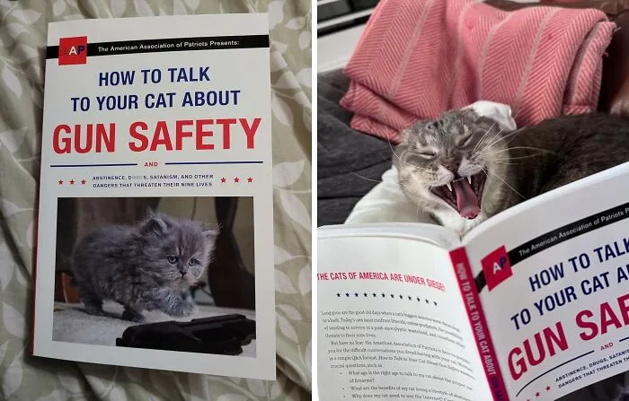 <a Style="Display:inline;" Href="Https://Www.amazon.com/How-Talk-Your-About-Safety/Dp/045149492x?ie=utf8&linkcode=ll1&tag=bplemur-20&linkid=a017d6638542b026af68963be1f4f48a&language=en_us&ref_=as_li_ss_tl" Target="_blank"><span Style="Font: Inherit; Color: #d74b1f;"> "How To Talk To Your Cat About Gun Safety" </Span> <br><br> Finally, A Book That Addresses The Real Issues Facing Cat Owners Today