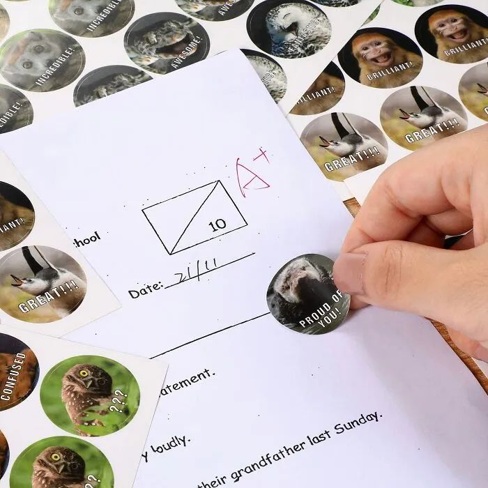 <a Style="Display:inline;" Href="Https://Www.amazon.com/Stickers-Hilarious-Motivational-Positive-Envelope/Dp/B083j54yh2?crid=177qtdav949re&dib=eyj2ijoimsj9.gszchkir0t6rh89cmix0kgpb98059nmo-_xg3z9lzdw6ygdfuxkm94e9zriub1_a09mieseq8xirhhdvoy9rryozyij7itl_whwg8pohgmdippcibemdnob6-Bfhk29ru_mbatsed9nfysknzpmyvi96_tcf0zm1uivlqouuhgmyibjiw3amlrbynrbeyvm5onliaadwcg5gmu8mio-7nlsn-U3pds-Pe1xtmjtztrkb86pjvtpupt25z6dfe0qq6o-Lzbm1b2rll4qbkhyanglfr25pglxi18phdnmp9xo.dozmhpy6fqtdap6b8zpgqx8y6rj3cmx4vlk9dupezei&dib_tag=se&keywords=funny%2bschool%2bsupplies&qid=1723102606&sprefix=funny%2bschool%2bsupplies%2caps%2c200&sr=8-30&th=1&linkcode=ll1&tag=bpgnu-20&linkid=a9bd65c61bca3175b80cce7ec3555cbf&language=en_us&ref_=as_li_ss_tl" Target="_blank"><span Style="Font: Inherit; Color: #d74b1f;"> Funny Motivational Stickers</Span> Are The Perfect Way To Add A Touch Of Humor And Inspiration To Your Day, Reminding You To Keep Going Even When Things Get Tough