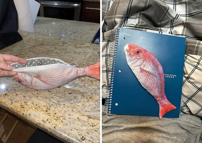 A <a Style="Display:inline;" Href="Https://Www.amazon.com/Wrapables-Novelty-Fish-Style-Pencil/Dp/B073xxg4nc?crid=1p403u6bzftgx&dib=eyj2ijoimsj9.ppiqp_h5tb0cyyuvw3ig5fxhnblovj7fw2lzoex0bhhadtjomh8alkjhuxuf5gfksbqdbew85ioxhetr8e-Vi6dctinqz_65wxrudv8vsatlt2pkqbkbq8h6dirhhnqflwvc9nr8yq4kqxtfkpsiuafzrmk8wccxhciiodo9paz23rifk2_6sq8piec-Dauguv2krnra0xizritkntpy7pci40rogbra7hpm3rttuknyjuiqrrzlyxswibcaybgtln2js-9vqmlwtny15uyyq9fm3djq-M4yu2yqjyn9rlw.sczyhzxazxguaiu0q_jx3bgvooxrpe1rpq58iqbclrs&dib_tag=se&keywords=funny%2bpencil%2bcase&qid=1723120511&sprefix=funny%2bpencil%2bc%2caps%2c204&sr=8-5&th=1&linkcode=ll1&tag=bpgnu-20&linkid=483d808cd643e021180ea27689184083&language=en_us&ref_=as_li_ss_tl" Target="_blank"><span Style="Font: Inherit; Color: #d74b1f;"> Fish Style Pencil Case</Span> Is The Perfect Catch For Any Student Who Wants To Add A Touch Of Aquatic Fun To Their School Supplies