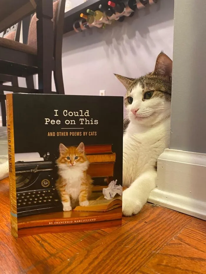 <a Style="Display:inline;" Href="Https://Www.amazon.com/Could-Pee-This-Other-Poems/Dp/1452110581?ie=utf8&linkcode=ll1&tag=bplemur-20&linkid=7d59d8fc20df84456240449ed40909a3&language=en_us&ref_=as_li_ss_tl" Target="_blank"><span Style="Font: Inherit; Color: #d74b1f;"> "I Could Pee On This" </Span> <br><br> Finally, A Collection Of Poetry That Captures The True Essence Of Feline Philosophy. From Odes To Scratching Posts To Meditations On The Existential Dread Of Empty Food Bowls, This Book Is A Must-Have For Any Cat Lover Who's Ever Wondered What Their Furry Friend Is Really Thinking