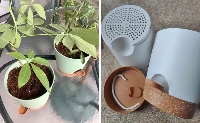 Use a <a Style="Display:inline;" Href="Https://Www.amazon.com/Faithland-Planter-Outdoor-Watering-Reservoir/Dp/B0bzvb6qz7?crid=394v41kodd6d2&dib=eyj2ijoimsj9.vqj7-_qgyse1gn35oforncorzjx5ba_imdbilonekfcq0na4d4gc6f57l2zkmxoytx6p5tawlk4l8xcykz_mm7c11dmtwndctwi_xwzx3zrw50mpv_cpxq0fnhi6jbua9kdf7ffoqzgbqrs1zs52o7tzvnl7uzst06zepne_ug9rgxbudvh4hhbwojn71crypauxqctdidajasyopq4jciytahf0tymwpzhlh07ykjyibefel_6kpmw1-Cy8rlre-_wpec5ofyn2msker11-4rohfhmv2pkyxywl22qq1ic.arwtpb2ftpqwd5iefnbcb9a3i_wsdhsliz_sx7nx0y4&dib_tag=se&keywords=double%2bpot%2bplanter&qid=1723172682&sprefix=doubled%2bpot%2bplanter%2caps%2c921&sr=8-80&th=1&linkcode=ll1&tag=bpyak-20&linkid=c4cae7e7cf153a4aa462a372361a6689&language=en_us&ref_=as_li_ss_tl " Target="_blank"><span Style="Font:inherit;color:#d74b1f;"> reservoir planter </Span> if you forget to water your plants. Ditch the watering can and let your planter do the work! If remembering to water your plants is a constant struggle, a reservoir planter is your new best friend. These clever pots have a built-in water reservoir that gradually releases moisture to the plant's roots, ensuring they stay hydrated even if you forget to water for a few days (or weeks!)